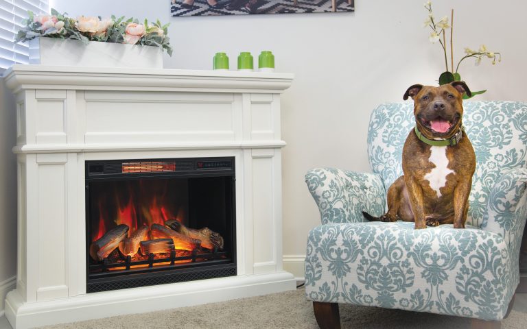 Best Electric Fireplaces to Enjoy with Your Pet (and Why You’ll Both Love It)
