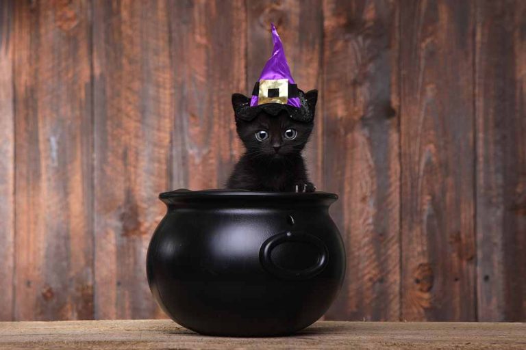 Serve this Around Your Electric Fireplace: Halloween Recipes You’ll Love