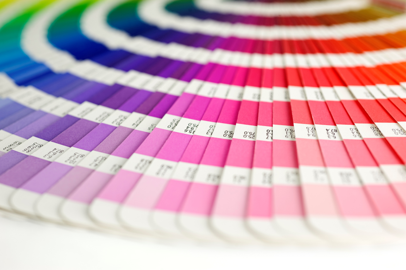 Color Wheel Chanel How to Use a Color Wheel to Upgrade Your Living Room – Twin Star Home