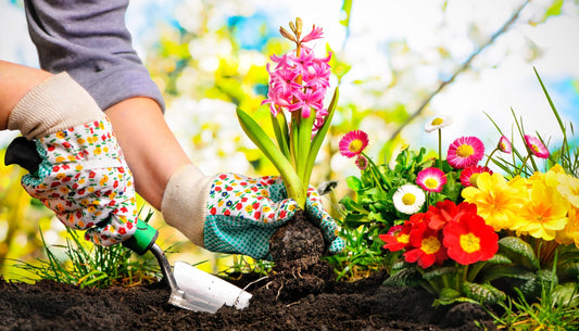 DIY Flower Beds for the Front Walkway of Your Home